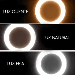 Ring Light De Mesa Iluminador De Led Tripé 6 Polegadas com Suporte Celular - Imagem 6