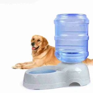 Bebedouro PET Galão Por Gravidade